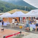 그린종합시장 이미지