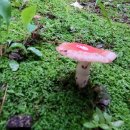 길주공원 이미지