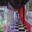 냥냥 스테이션(NYAN NYAN STATION) 이미지