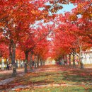 대구호산초등학교 이미지