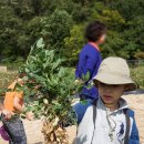 이창농장 | 남양주 별내블루베리농장 팜스쿨 농장체험 고구마캐기 주말나들이 굿