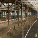 문식농장 이미지