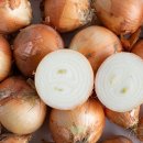 다마내기 이미지