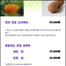 천마식당 Daum카페