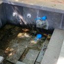 남산1리경로당 이미지