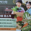 채가원