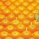 (주)우리생약 이미지