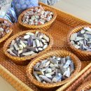 약용식물과 건강약선 이미지