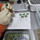 스마트큐브 2차 이미지