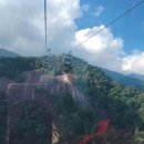 라루건설 | 다낭 자유여행 &lt;셋째 날 1탄&gt; 바나힐/점심은 BRASSERIE(브래서리)에서! /리얼 베트남 연유커피 후기