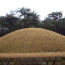 경주남산 답사(일성왕릉/늠비봉5층석탑/황금불/윤을곡마애불/창림사지/남간사지 당간지주) 이미지