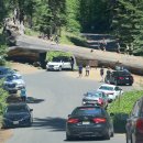 크레센트 (CRESCENT) 이미지