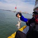 킹콩쭈꾸미 이미지