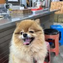 북마산분식 네이버블로그