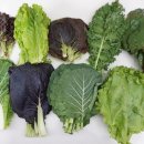 비경휘트니스 이미지