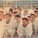 부전초등학교 Daum카페