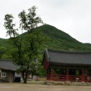 동백여관 이미지