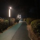 신정호수공원-11 이미지