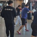 판교스타복싱 이미지
