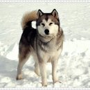 애체안경원 이미지