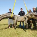 분당-337 이미지