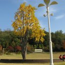 이지현내과의원 이미지