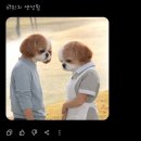 챗 GPT와 AI로 만드는 홀로그램 이야기 | 강아지 웹툰 만들기｜AI 챗GPT로 ‘개멍동화’ 제작하다 생긴 웃픈 해프닝