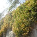 남평마을회관 이미지