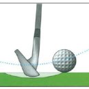 토핑주의보 이미지