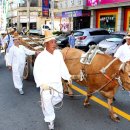 안동서부시장 이미지