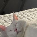 충민농장 이미지