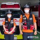 대원청과 이미지