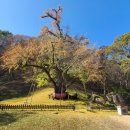 스테이 경화 이미지