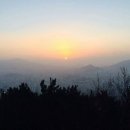 꽃셈