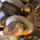 타잔 노래연습장 이미지