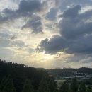 지브로 | 대구 삼성라이온즈 파크 처음 이용해보는 지브로존 후기