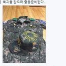 따봉충