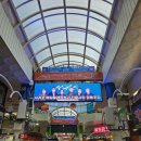 불로초교 | 서귀포 포장 맛집 후기, 오는정김밥 + 올레시장 먹거리 솔직 리뷰