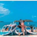 섬과 하루 이미지