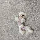 찰스앤에디 이미지