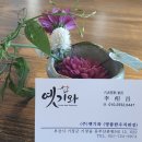 명품한우직판장