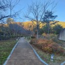 주식회사 조은메디케어 이미지