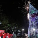 (도안뉴스) “보라매 크리스마스 트리 공원” 점등 이미지