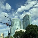 아싸살아있네 이미지