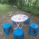 260801(토) 나무자람터,채종/파종, 하늘, 24권역, 세아숲, 파종용 산복사 채집 이미지