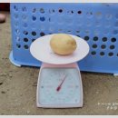 준석농장 이미지