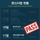 펄미에이트 이미지