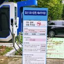 까치다육정원 | [꽃축제 후기] 일산호수공원 고양가을꽃축제 2025: '꽃과 웰빙'으로 물든 가을 정원!