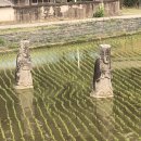 장군석 | 공주시 향토문화유적 기념물 25호 (공주 장군석)