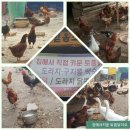 하늘바람팜스토랑 네이버블로그